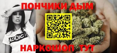 стафф Шелехов