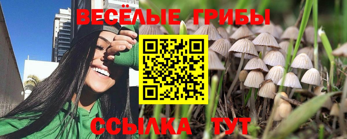 Галлюциногенные грибы GOLDEN TEACHER  Галлюциногенные грибы Cubensis  где купить наркоту  Вход с VPN  Можайск 