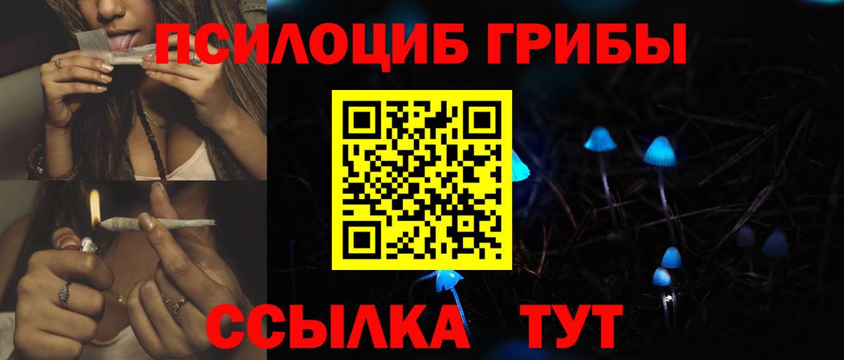 Псилоцибиновые грибы Psilocybe Можайск
